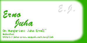 erno juha business card